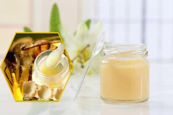 Sữa ong chúa và những tác dụng thần kỳ với làm đẹp và sức khỏe