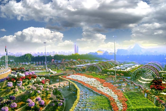 Sửng sốt trước độ choáng ngợp của vườn hoa tự nhiên khổng lồ đẹp nhất thế giới ở dubai