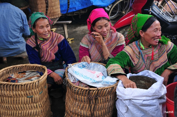 Chào đón xuân giáp ngọ bằng một chuyến đi