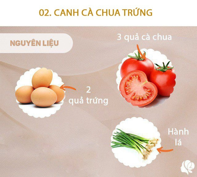 Hôm nay nấu gì bữa cơm 4 món siêu rẻ nhưng cả nhà ăn vừa ngon lại no căng