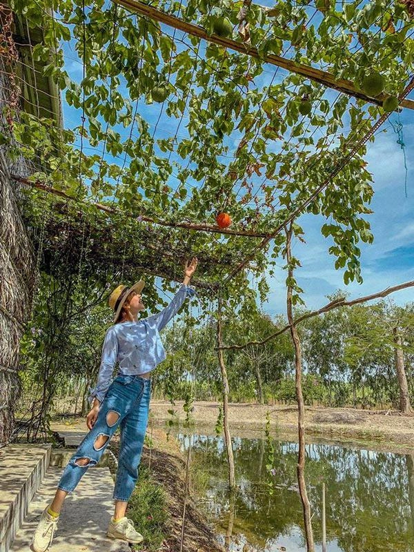 Minh hằng diện lại quần đục lỗ lạ kỳ từ hơn năm trước