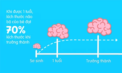 Nguyên nhân không ngờ khiến trí não bé kém phát triển