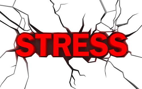 Stress làm bạn xấu hơn bạn tưởng