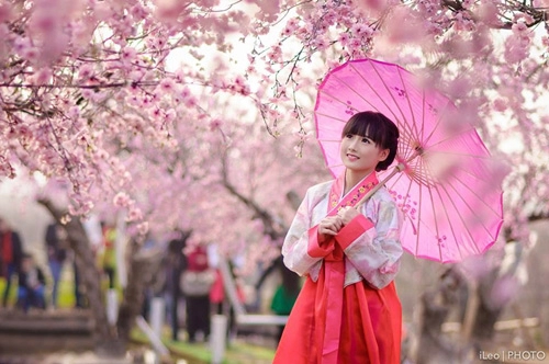 Thiêu nư viêt xinh tươi sươn xam hanbok