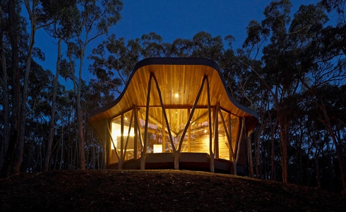 túp lều hiện đại giữa rừng cây