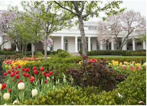 Ngắm vườn hồng - biểu tượng một thời của vợ chồng tổng thống mỹ