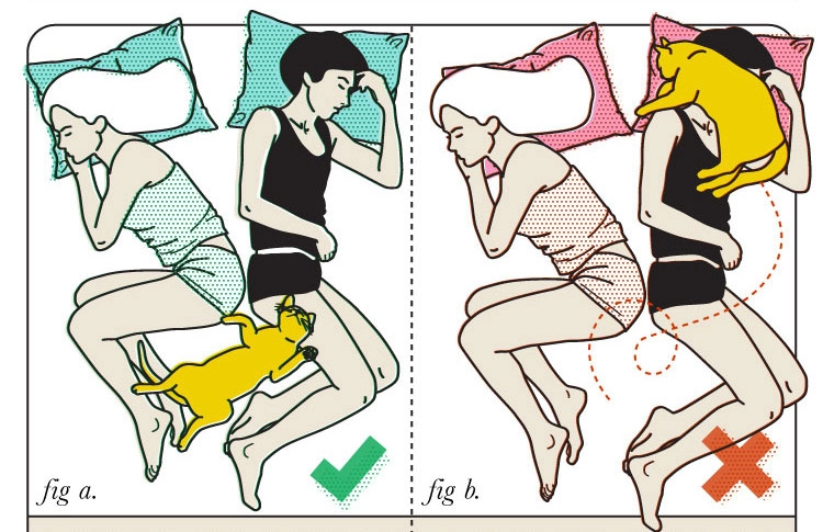 Hài hước với loạt tư thế ngủ tốt nhất và tồi tệ nhất của các cặp vợ chồng