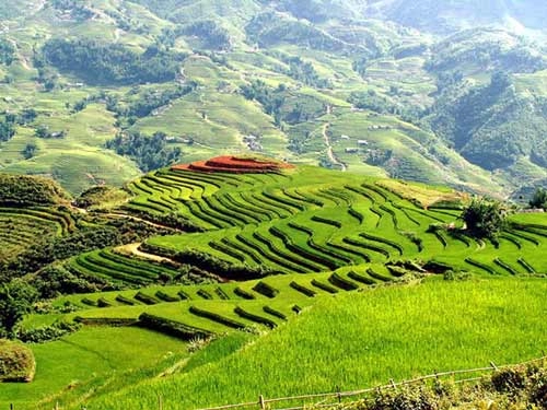 10 điểm du lịch mùa thu hấp dẫn nhất đông nam á