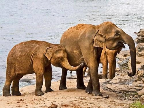 10 hòn đảo tạo sửng sốt nhất trái đất
