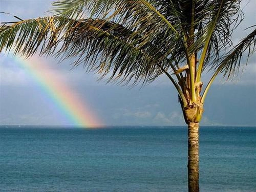 10 hòn đảo tạo sửng sốt nhất trái đất