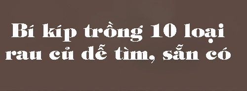 10 loại rau củ trồng từ gốc bỏ đi lớn nhanh vùn vụt ăn cả năm chả hết