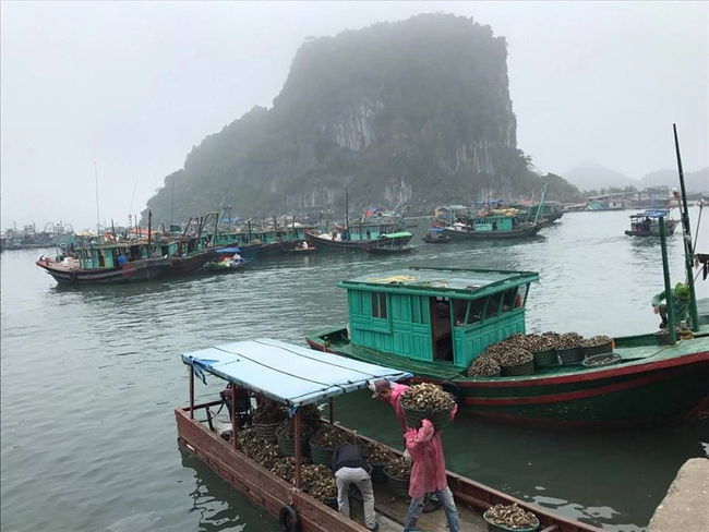 2401 19h25phượt đảo bánh sữa - hòn đảo hoang sơ tuyệt đẹp để trốn tết