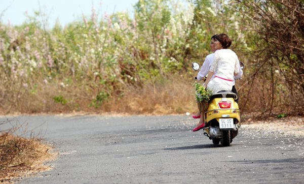 3 mùa hoa đẹp trong tháng 1 khiến bạn chỉ muốn lạc trôi khỏi thành phố