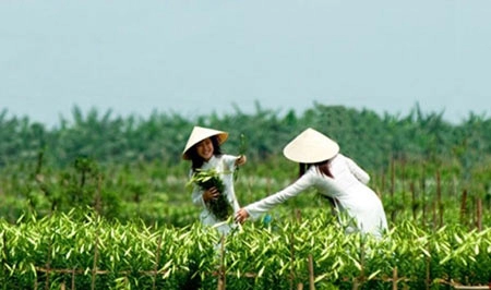 5 địa điểm chụp ảnh mùa xuân tuyệt đẹp ở hà nội