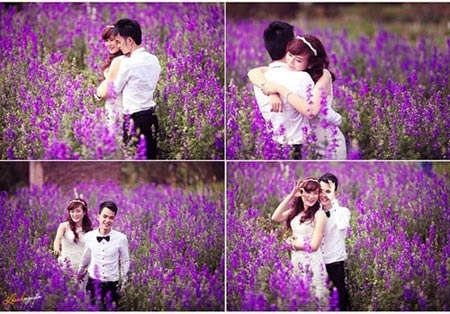5 địa điểm chụp ảnh mùa xuân tuyệt đẹp ở hà nội