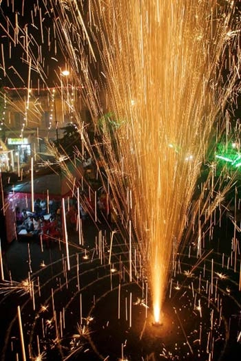 Ấn độ thiên đường của loài vật