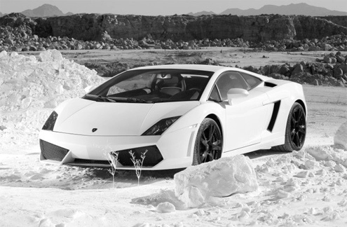  ảnh đẹp của bò tót lamborghini 