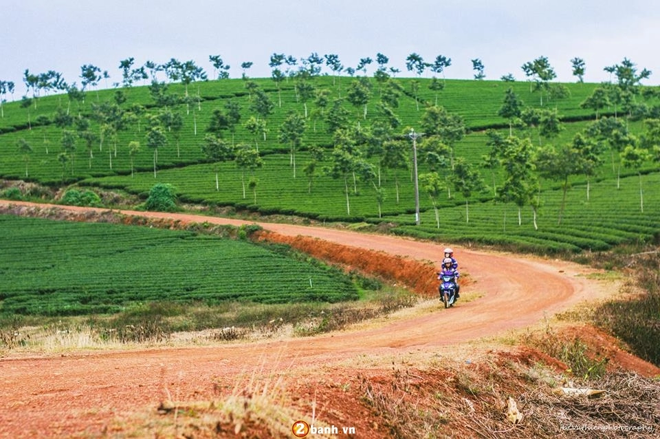 Bộ ảnh đáng yêu của cặp đôi trên cung đường phượt lâm đồng