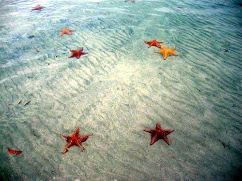 Bocas del toro thiên đường ở panama
