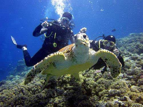 Bocas del toro thiên đường ở panama
