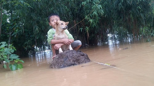 Bơi ra dòng nước lũ cứu chó nhưng không thể vào bờ chú bé 6 tuổi bật khóc