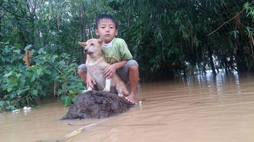 Bơi ra dòng nước lũ cứu chó nhưng không thể vào bờ chú bé 6 tuổi bật khóc