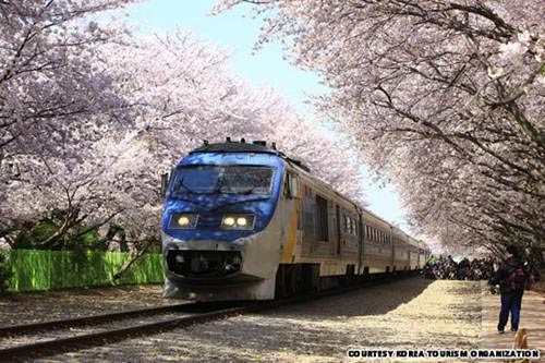 Bốn mùa tươi đẹp quanh seoul xứ hàn