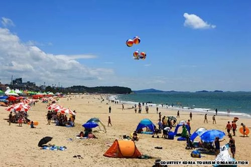 Bốn mùa tươi đẹp quanh seoul xứ hàn