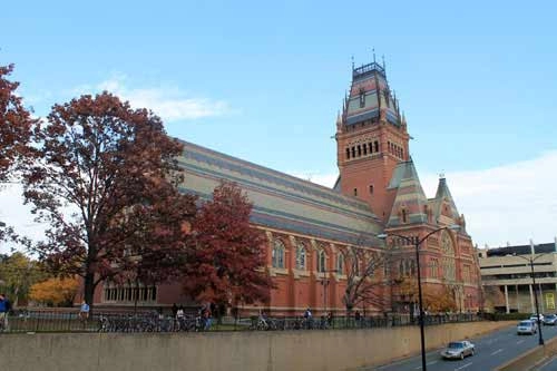 Boston ngập trong sắc vàng ngày cuối thu