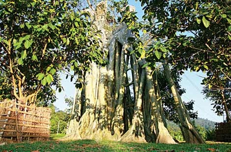 Chinh phục thác mơ bằng thang dây
