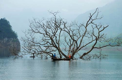 Chinh phục thác mơ bằng thang dây