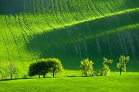 Choáng ngợp trước đồng cỏ xanh ngút ngàn ở moravia