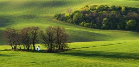 Choáng ngợp trước đồng cỏ xanh ngút ngàn ở moravia