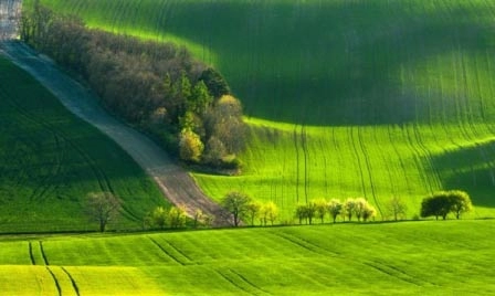 Choáng ngợp trước đồng cỏ xanh ngút ngàn ở moravia