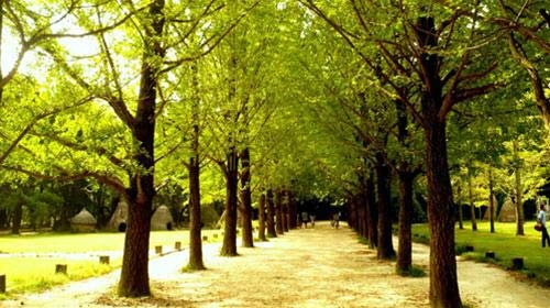 Đảo nami - ý tưởng cho chuyến du lịch lãng mạn