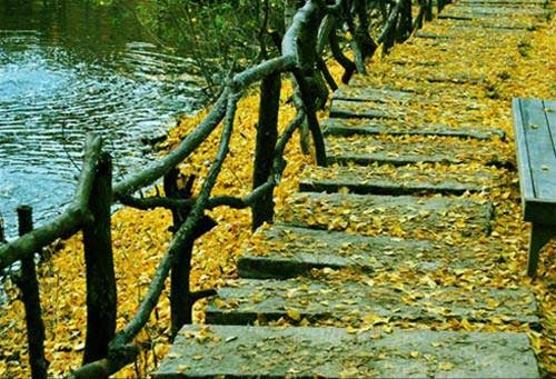 Đảo nami - ý tưởng cho chuyến du lịch lãng mạn