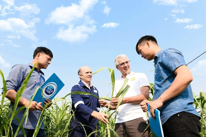 Để mẹ kể con nghe về sữa tươi chuẩn 4 không từ cô bò chuẩn hà lan