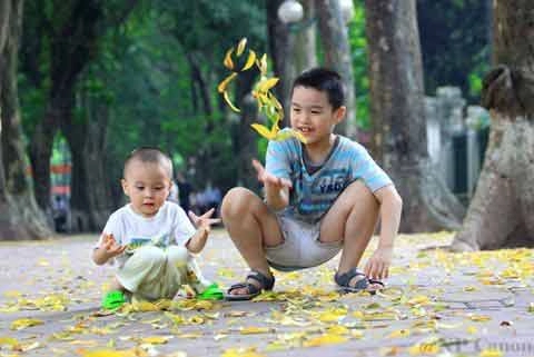 Đẹp mê hồn hà nội mùa lá vàng trải thảm