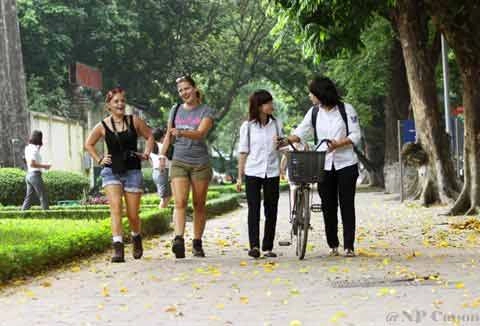 Đẹp mê hồn hà nội mùa lá vàng trải thảm