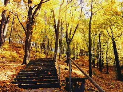 Du lịch bụi ở lithuania