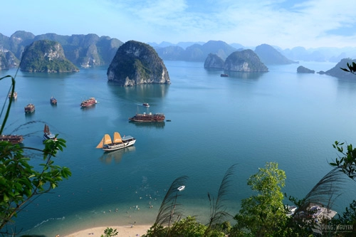 Hạ long không sóng mà say lòng người