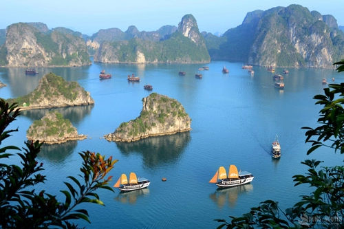Hạ long không sóng mà say lòng người