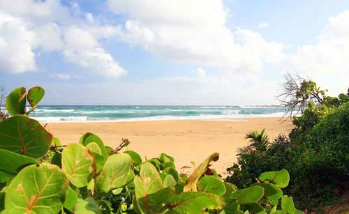 Khám phá cảnh đẹp của puerto rico