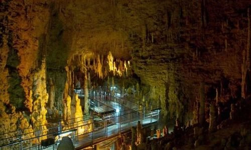 Khám phá thế giới ngầm ở okinawa