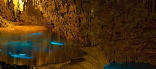 Khám phá thế giới ngầm ở okinawa