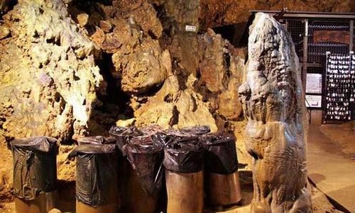 Khám phá thế giới ngầm ở okinawa