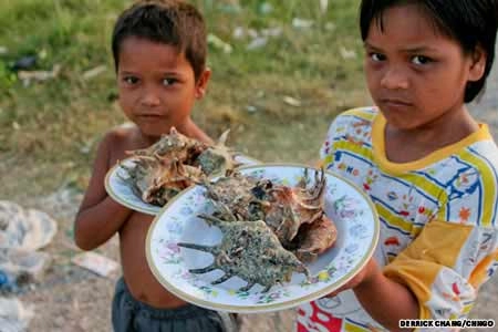 Khám phá thiên đường sóng gió tại philippines
