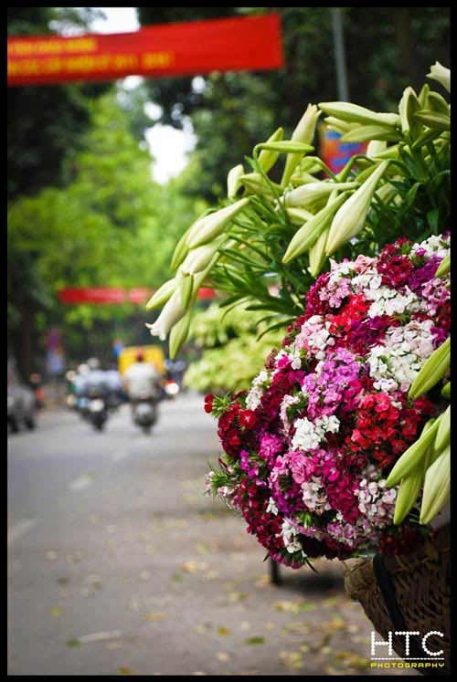 Khoảnh khắc hà nội bốn mùa