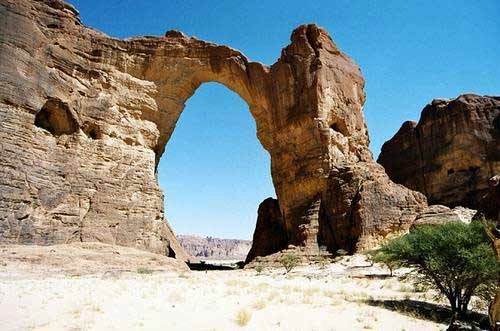 khu vườn bí mật giữa lòng sa mạc sahara