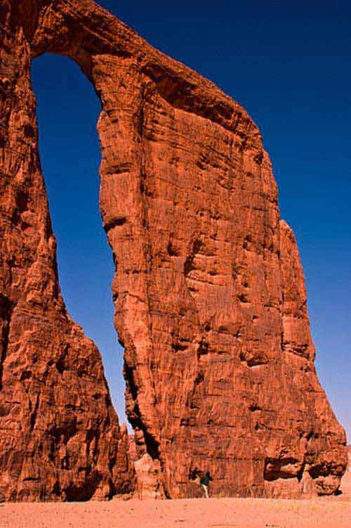 khu vườn bí mật giữa lòng sa mạc sahara